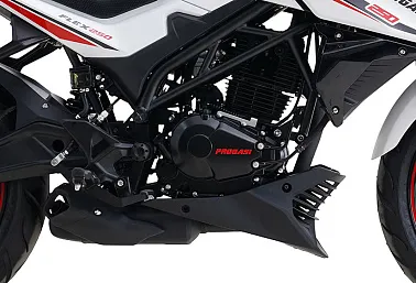 Мотоцикл PROGASI Flex 250