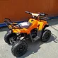 Квадроцикл Grizzly 50