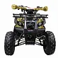 Квадроцикл ATV Termit TT