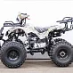 Квадроцикл STALKER 125 Lux