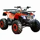 Квадроцикл WELS THUNDER AX125