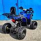 Квадроцикл Grizzly 110