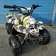 Квадроцикл RAPTOR 110