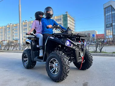 Квадроцикл PROMAX RENEGADE 250 LONG WINCH PRO