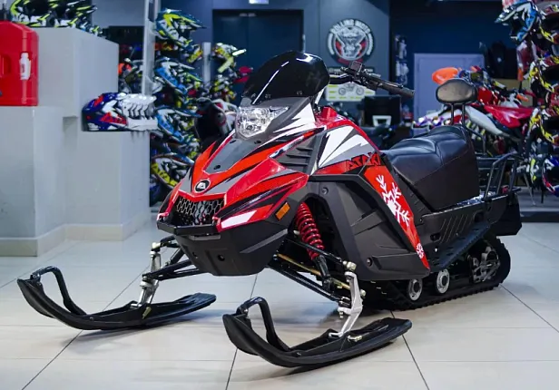 Снегоход Ataki WD 250