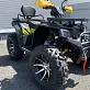 Квадроцикл PROMAX TAURUS 300 MAX-PRO