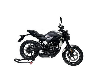 Мотоцикл TMBK MONTANA 250 (165 FMM)