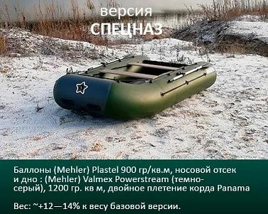 Моторная лодка РЛ-380