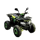 Квадроцикл Bison Gladiator 125
