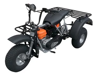 Трицикл СПРИНТ ТРАЙК 10R-LE-8", на редукторе, колеса 8” Сафари (20х7-8’’) 10лс	