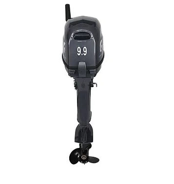 Лодочный мотор ALLFA CG Т9.9(20)MAX