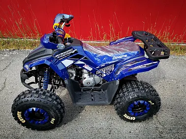 Квадроцикл MOTOLAND (МОТОЛЕНД) 125 COYOTE PRO