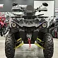 Квадроцикл PROMAX RENEGADE 250 LONG WINCH PRO