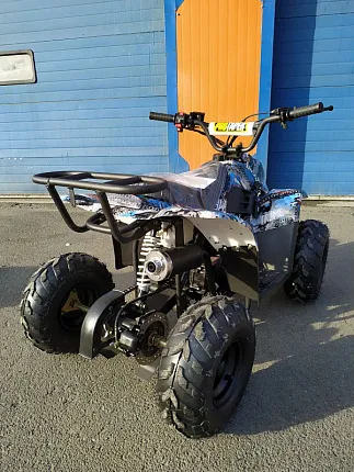 Квадроцикл RAPTOR 110