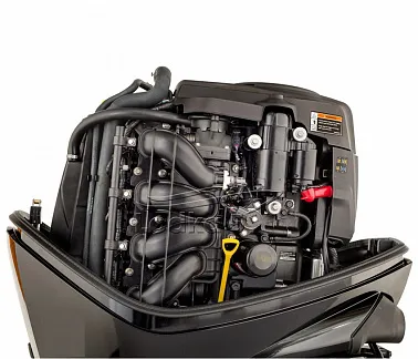 Лодочный мотор PROMAX SF100FEEL-T EFI